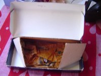 DSC00315.jpg