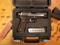Sig P220 Equinox (2).jpg