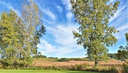 WI Rural Corn Field.jpg