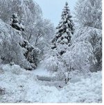 Winter.jpg