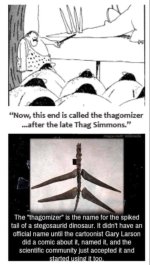 thagomizer.jpg