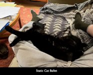 Static cat ballet copy.jpg
