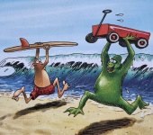 surf.jpg
