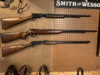 22 Rifles.jpg