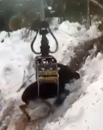 moving the moose.jpg