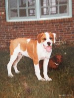 image000000(16).jpg