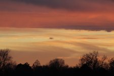IMG_1110.jpg