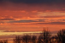 IMG_1116.jpg