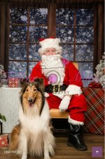 Christmas 1.jpg