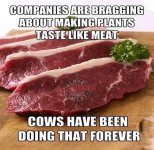 cows-meat.jpg