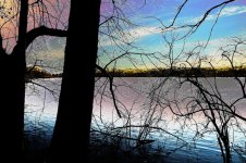 Solar Trees & Lake.jpg