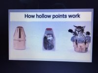 Hollow Cat.JPG