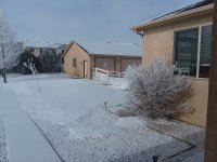 hoar-frost-29Jan23.jpg