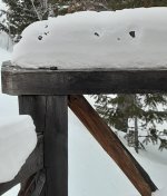 Holy Snow! 2-3-2023 (2).jpg