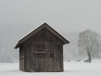 20221216_155028.jpg
