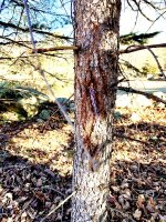 IMG_7573.jpg