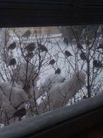 20230215_hanging-out-1.jpg