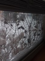 20230215_hanging-out-2.jpg