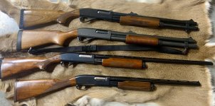 C7FFA34B-72C7-4AA1-ACC5-13C9DC8EF516.jpg