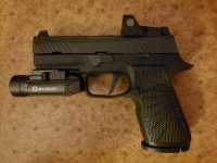 p320 WITH LIGHT.jpg