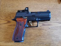 P320 AXG  2.jpg