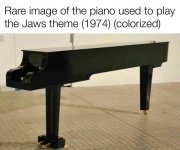 img63f564ee735c2.jpg