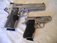 laser sights 001.jpg