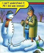 dead snowman.jpg
