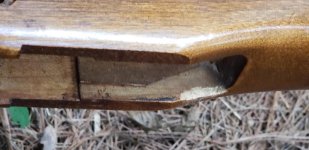 thumbnail_20220717_192133.jpg