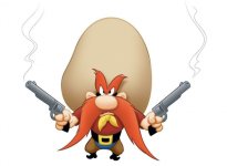 Yosemite_Sam_4.jpg