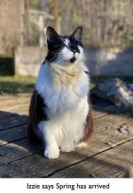 Izzie says it's spring.jpg
