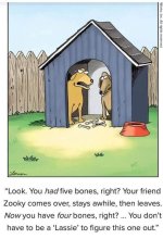 zooky bones.jpg