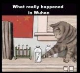 What really happened in Wuhan.jpg