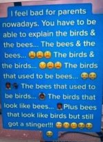nT_f0ged24uiayj2yi72x4kkz1b_300.jpg
