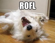 ROLF 01..jpg