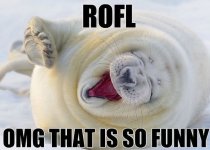 ROLF 04.jpg