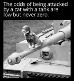 kattank.jpg