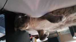 20160221_072131.jpg