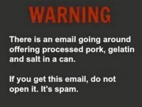 spam.jpg