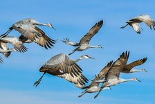 8AFE7622-92C0-4E7D-BF85-6225731A3DB7.jpg