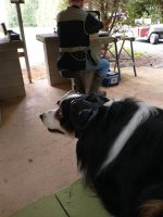 IMG_2584.jpg