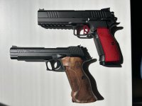 dwx210targ.jpg