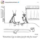 Praying mantis dates.jpg