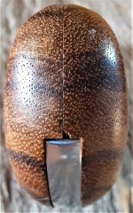 Mustang grips -- bottom rear.jpg