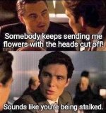 stalked.jpg