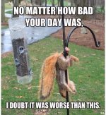 Squirrel nuts.jpg