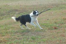 2022-12-16 Daisy 06.jpg