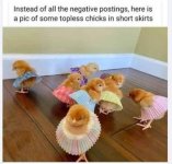 Topless chicks.jpg