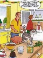 Stuffing cat.jpg
