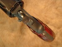 DSCF6564.jpg
